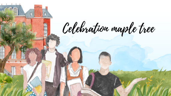 celebration maple tree